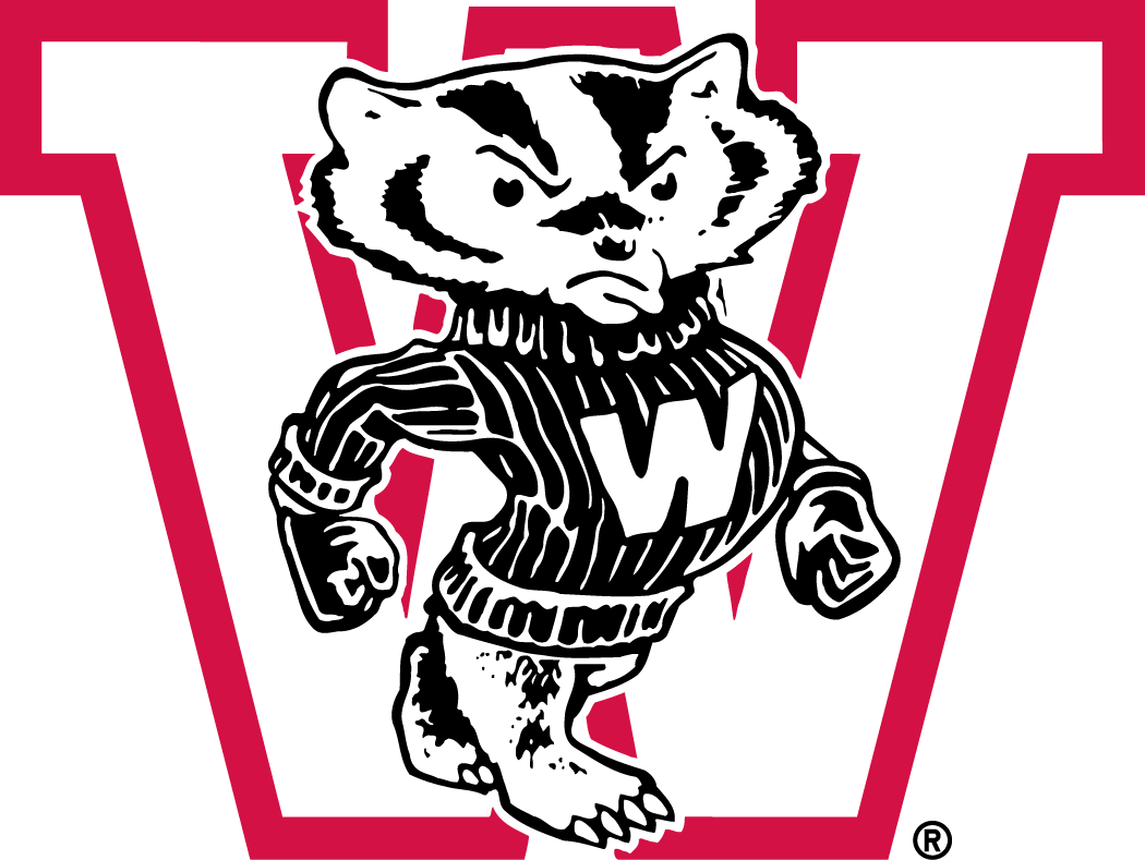 Wisconsin Badgers 1948-1956 Primary Logo diy iron on heat transfer